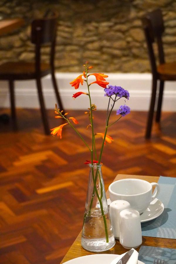 Bed and Breakfast Dingle Garden Townhouse Zewnętrze zdjęcie A vase of flowers